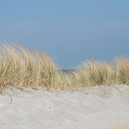 Strandnahes Ferienhaus