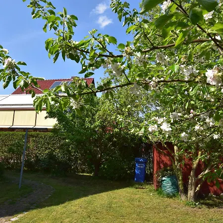 Strandnahes Ferienhaus Ferienhaus Ostseebad Kühlungsborn